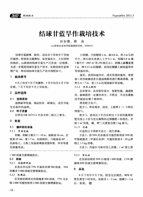 结球甘蓝旱作栽培技术