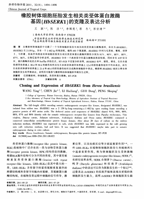 橡胶树体细胞胚胎发生相关类受体蛋白激酶基因(HbSERKl)的克隆及表达分析
