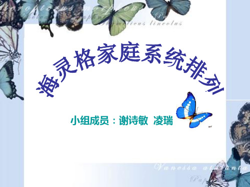 海灵格家庭系统排列