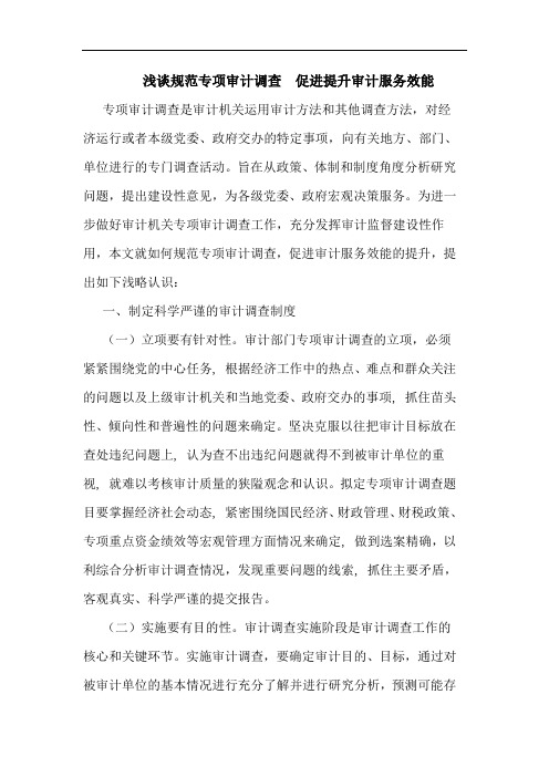 规范专项审计调查  促进提升审计服务效能论文