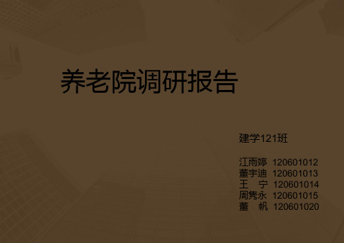 养老院调研报告PPT课件