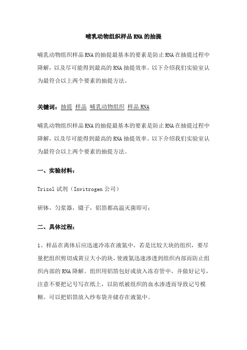 组织RNA提取