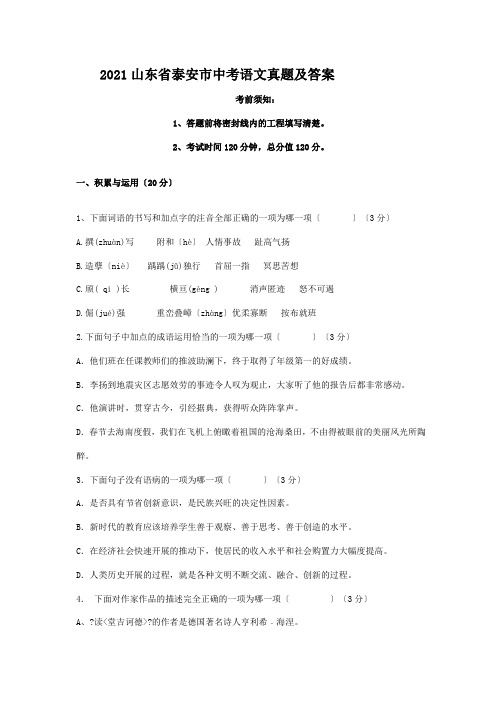 中考_2010山东省泰安市中考语文真题及答案