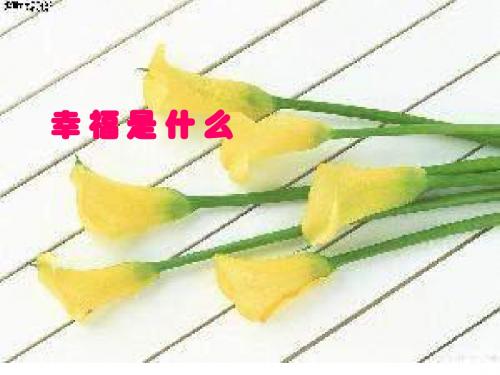 《幸福是什么》_PPT课件_(1)_-_人教新课标小学语文四年级上册