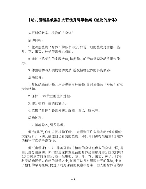 【幼儿园精品教案】大班优秀科学教案《植物的身体》