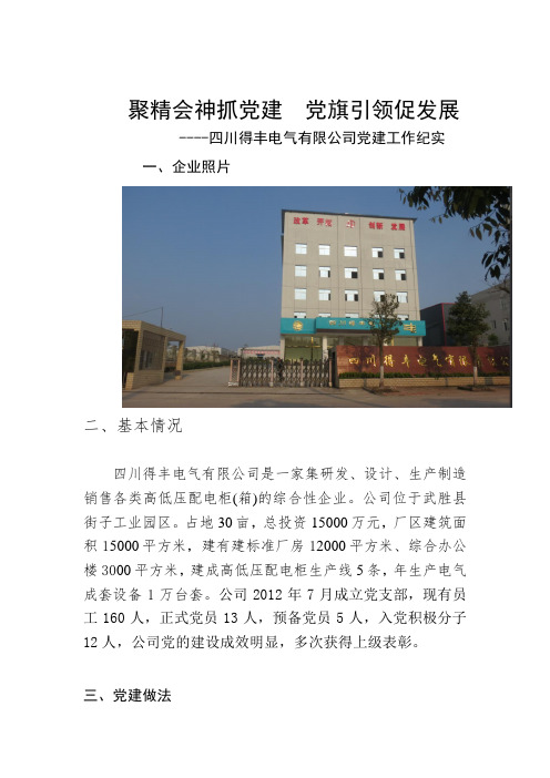 党建案例