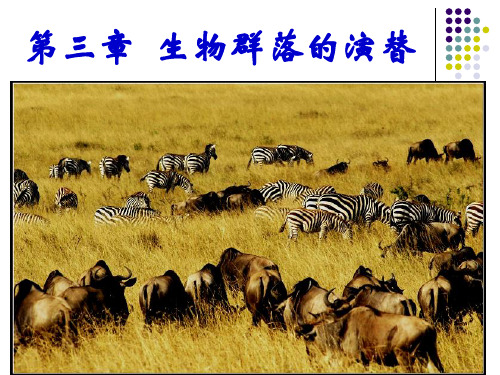 群落的基本单位-种群