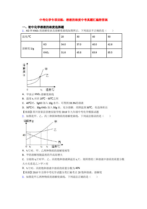 中考化学专项训练：溶液的浓度中考真题汇编附答案