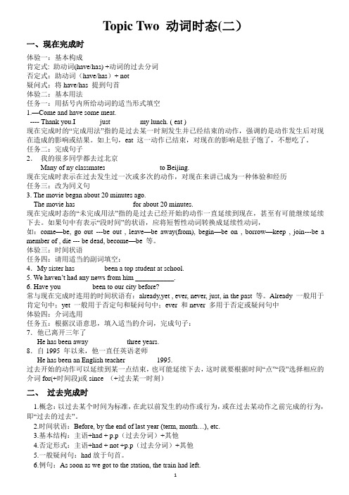 Topic Two 动词时态(二)