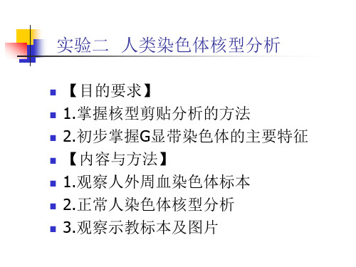 试验五人类染色体的观察及核型分析