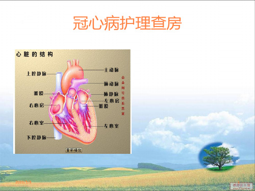 冠心病护理查房PPT课件