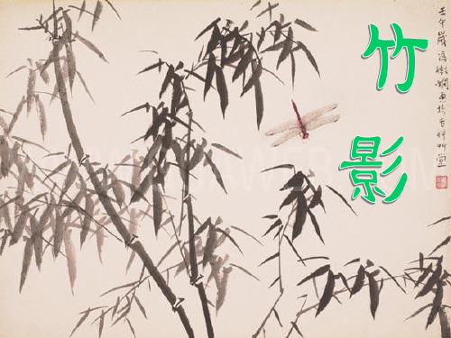 人教版初中七年级下册语文第18课《竹影》课件