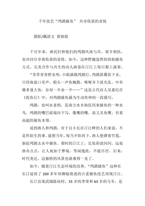 千年技艺“鸬鹚捕鱼” 共享收获的喜悦