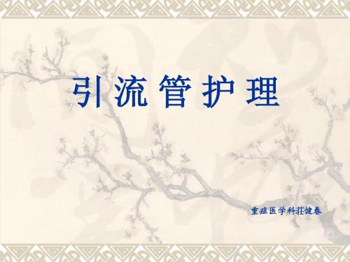 ICU各种引管护理管理