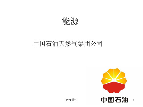 中石油行业分析与公司分析  ppt课件