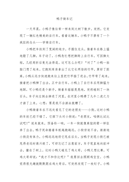 鸭子骑车记