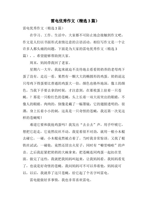 雷电优秀作文(3篇)