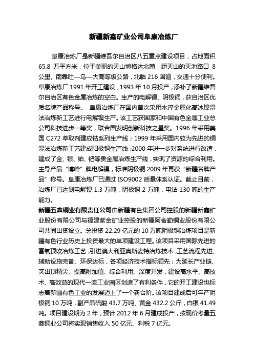 中泰化学工业园简介