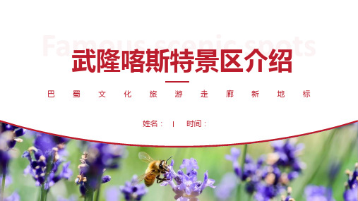 武隆喀斯特景区介绍-武隆喀斯特景点PPT(经典版)