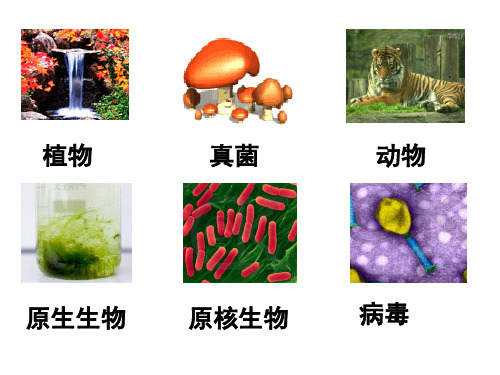组成细胞的原子和分子ppt 优秀课件