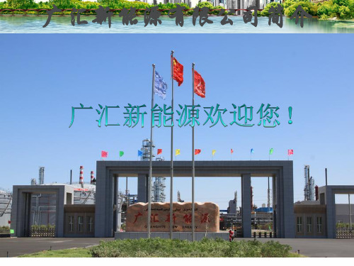新疆广汇新能源全厂装置简介2014