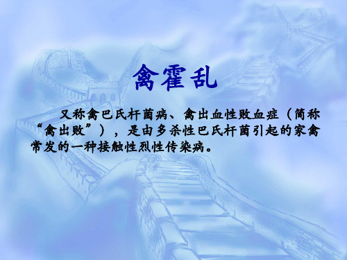 禽霍乱
