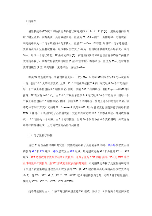 猪轮状病毒(RV)