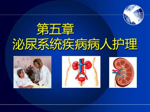 泌尿系统疾病病人护理  ppt课件