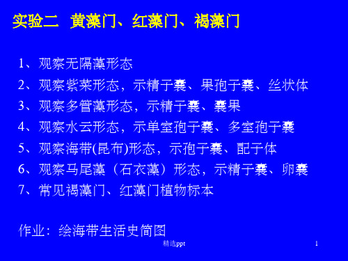 《实验二藻类植物》PPT课件