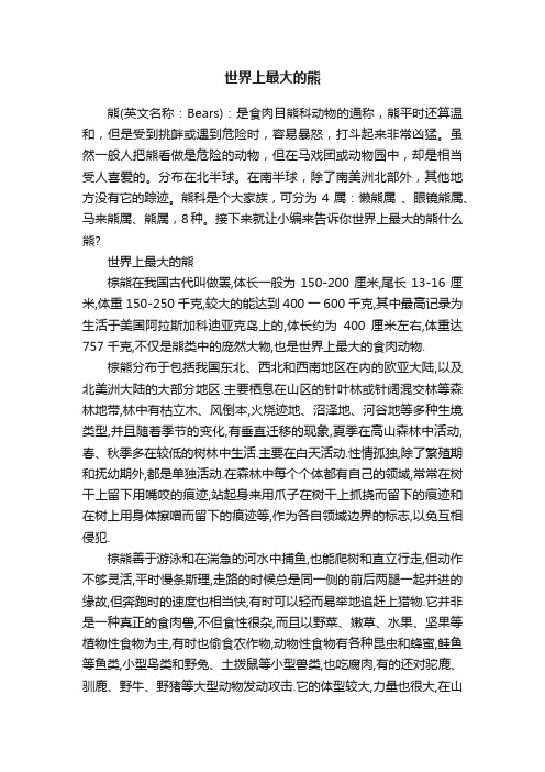 世界上最大的熊