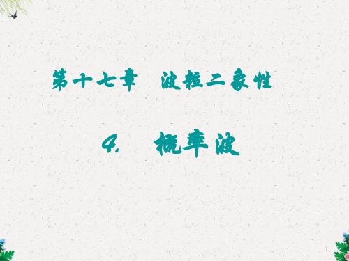 人教版高中物理选修3-5第17章第4节概率波