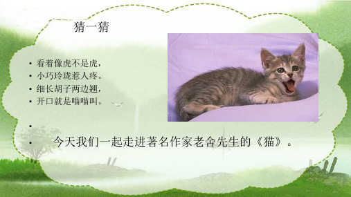 《猫》公开课一等奖教学课件