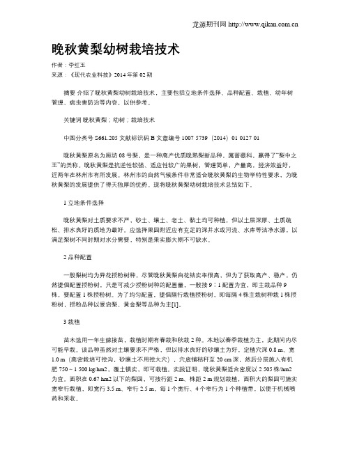 晚秋黄梨幼树栽培技术