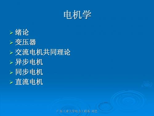 电机chap1绪论