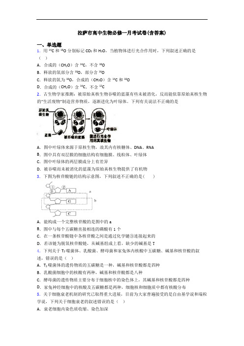 拉萨市高中生物必修一月考试卷(含答案)