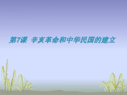 辛亥革命和中华民国的建立优选PPT课件