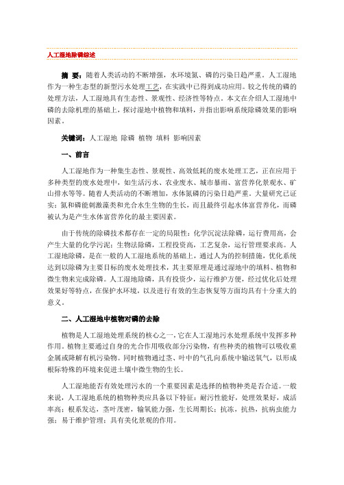 人工湿地除磷综述