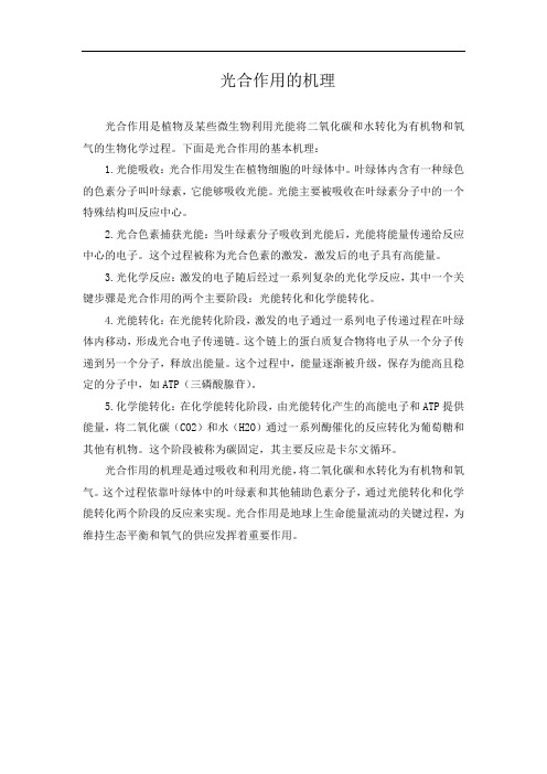 光合作用的机理