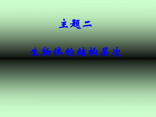 生物体的结构层次PPT课件5