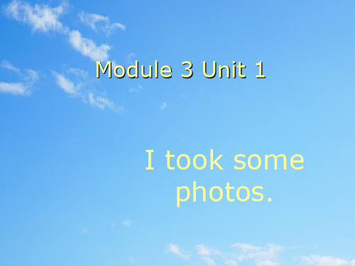 外研版一起小学英语六下《Module 3Unit 1 I took some photos.》PPT课件 (2)
