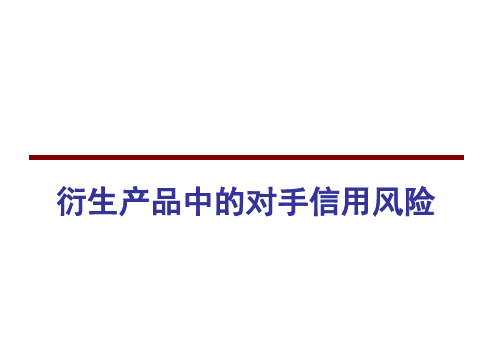 衍生产品中的对手信用风险