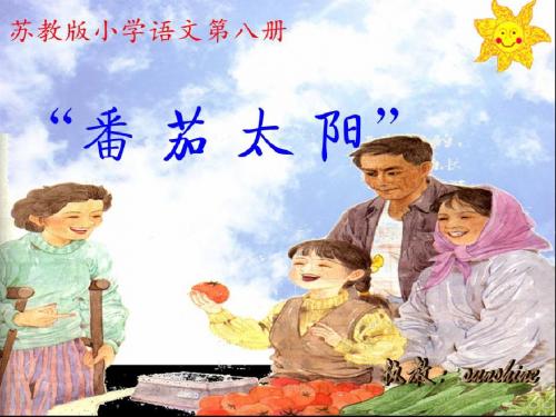 “番茄太阳”第二课时