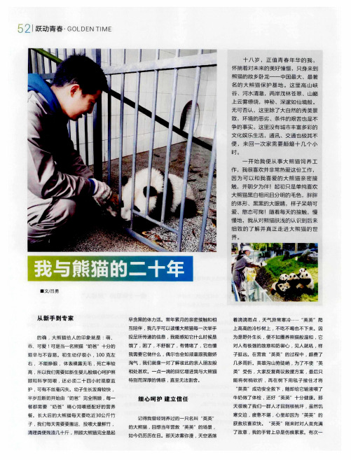 我与熊猫的二十年