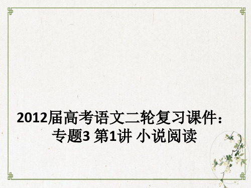 高考语文二轮复习PPT课件专题 小说阅读