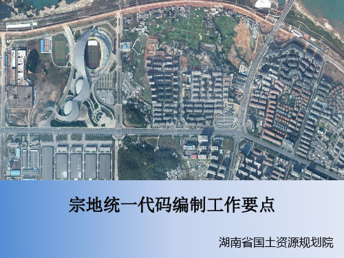 宗地统一代码编制要点(县级培训)