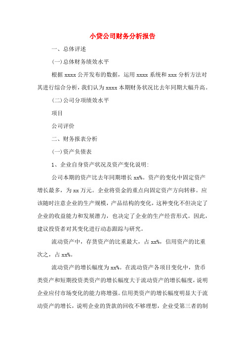 2019年小贷公司财务分析报告