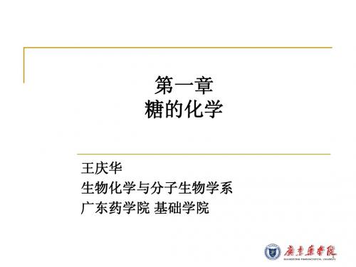 1第一章糖的化学
