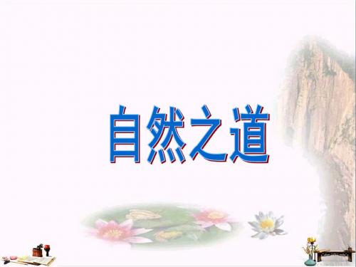 六年级语文上册 第23课 自然之道课件 语文S版