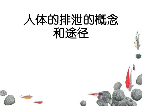 人体的排泄的概念和途径