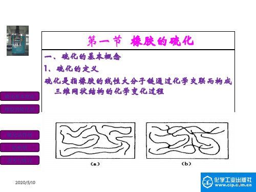 硫化体系